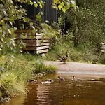 Mobil-home 2 Avec Terrasse Et Salon De Jardin - Api-1-52-448 Кемпинг Granges-Aumontzey