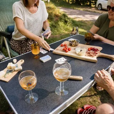 Camping Mobil-home 2 Avec Terrasse Et Salon De Jardin - Api-1-52-448