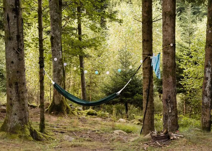 Кемпинг Mobil-home 2 Avec Terrasse Et Salon De Jardin - Api-1-52-448 Granges-Aumontzey