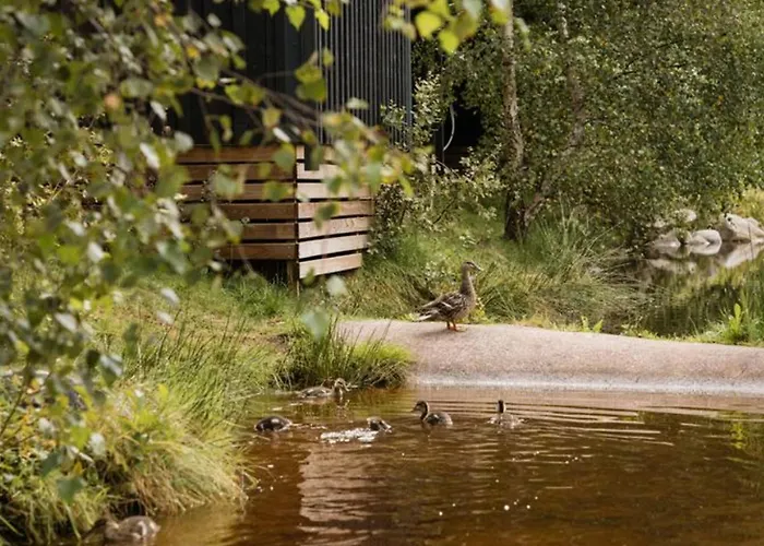 Mobil-home 2 Avec Terrasse Et Salon De Jardin - Api-1-52-448 Campingplatz Granges-Aumontzey